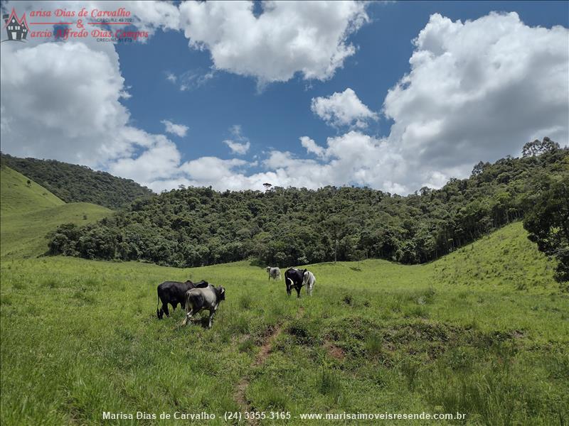 Sítio a Venda no Outros em Bocaina de Minas